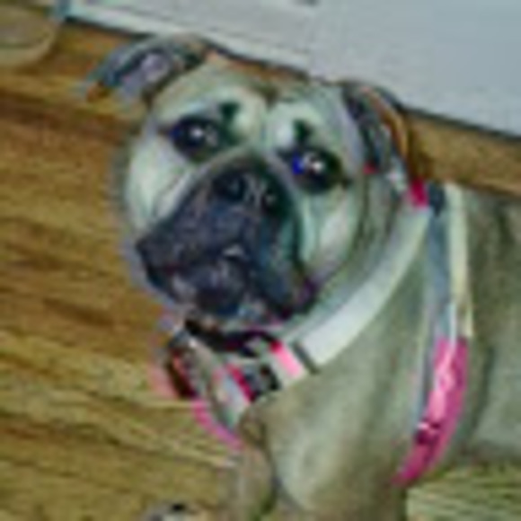 megan_mcwherter